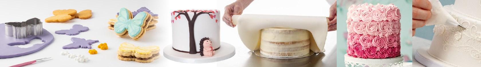 Sugar paste and Icing header