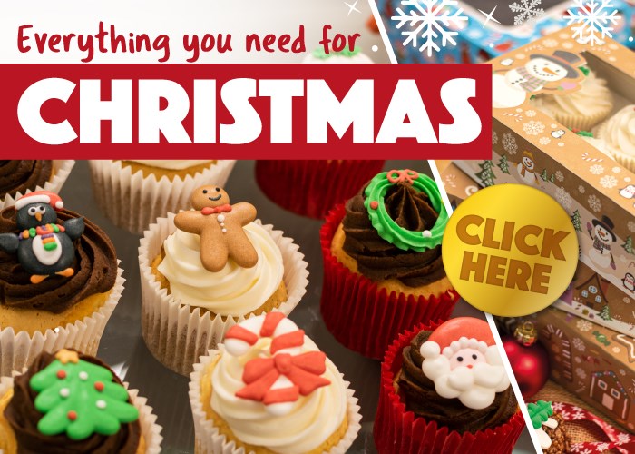 Christmas Cake Decorations