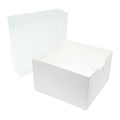 Culpitt Box with Transparent Lid - 10" Alternative Image