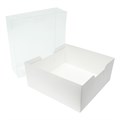 Culpitt Box with Transparent Lid - 14" Alternative Image