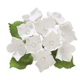 Culpitt White Sugar Hydrangea Bunch Alternative Image