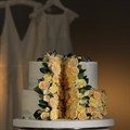 SugarSoft@Reg Yellow Ombre Roses - Assorted - Box of 12 Alternative Image
