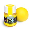NEONZ Paste Food Colour Yellow 20g Alternative Image