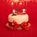 Assorted Christmas Cake Toppers - Holly, Santa, Tree & Motto - 25 Pack Alternative Image