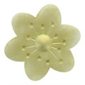 Sugarflair Lustre Dusting Colour - Antique Gold Alternative Image