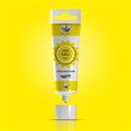 ProGel Concentrated Food Colour by Rainbow Dust - 25g - Yellow Alternative Image