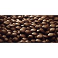 Callebaut Belgian Chocolate - Dark - 400g Alternative Image