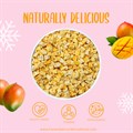 Honeyberry Freeze Dried Mango Pieces 100g Alternative Image