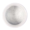 Colour Splash Food Colouring Powder - Pearl - Silver Alternative Image