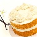 Culpitt Select Cake Mix - Vanilla Flavour Madeira - Vegan -1kg Alternative Image