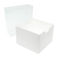 Culpitt Box with Transparent Lid - 8" Alternative Image