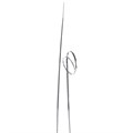 LEAF-BEAR GRASS-SILVER-425mm-50 PCE Alternative Image