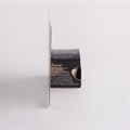 Rainbow Dust Lustre - Metallic Signature Gold - Loose Pot - 3g Alternative Image