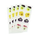 Mixed Pansies Sugar Decorations - Pack of 32 Alternative Image