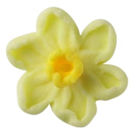 Sugar Daffodils