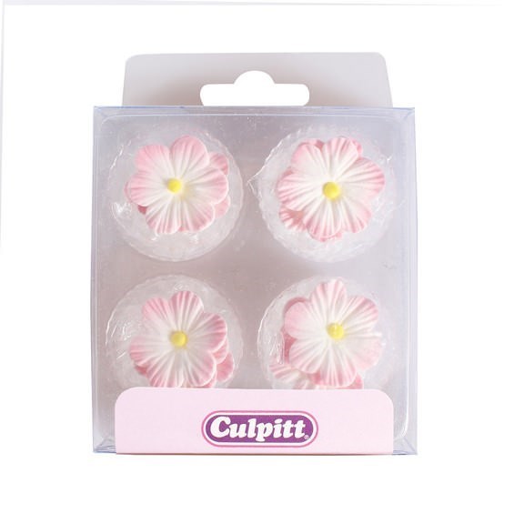 Culpitt White & Pink Sugar Daisies Decorations - Pack of 12