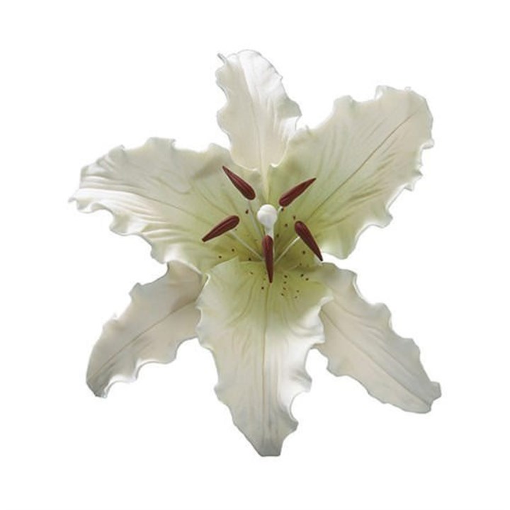 Gumpaste Stargazer Lily - White - 5"