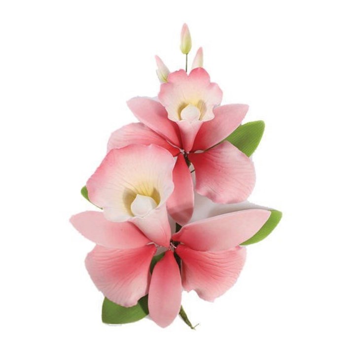 Gumpaste Pink Orchid Spray Cake Topper Decoration