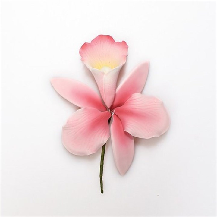 Pink Orchid - 100mm