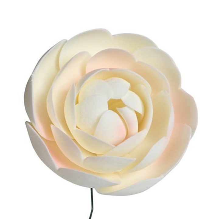 Culpitt Large Gumpaste Ranunculus Flowers - Box of 20