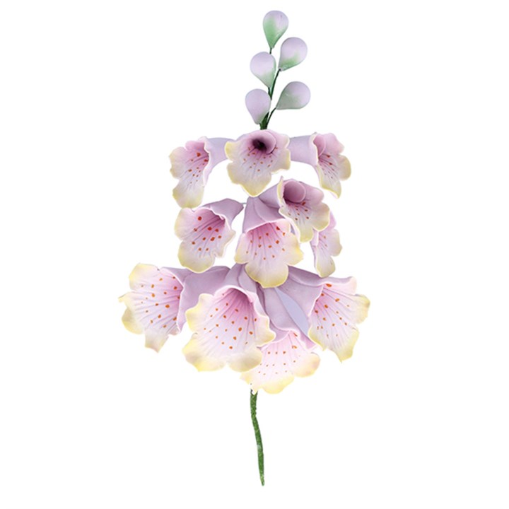 Foxglove Sugar Spray