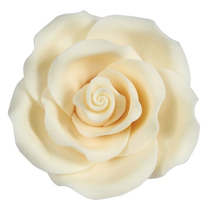 Extra Large SugarSoft® Roses - Ivory - 63mm - Box of 8