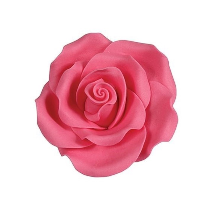 Medium SugarSoft® Roses - Bright Pink - 38mm - Box of 20