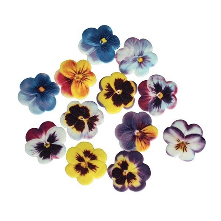 SugarSoft® Pansies - Assorted - Pack of 60
