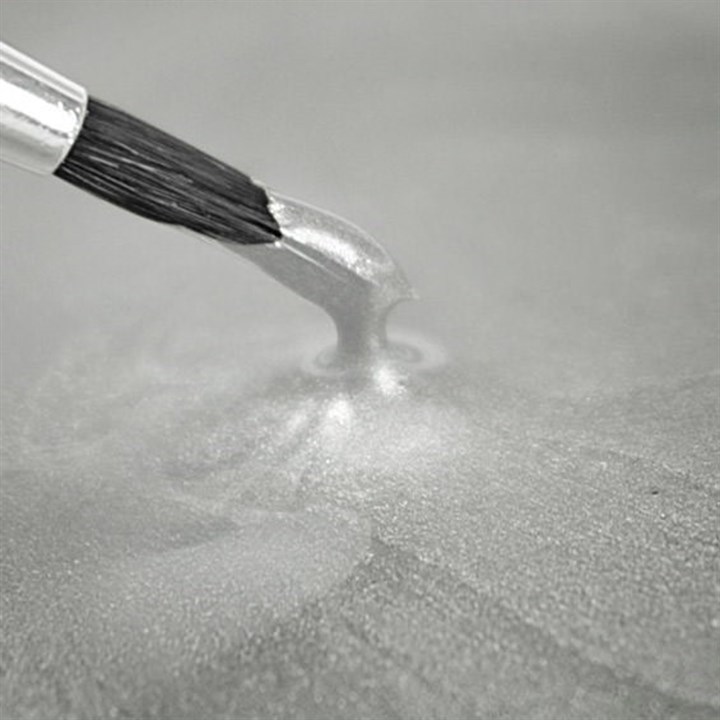Rainbow Dust Metallic Food Paint  - Pearlescent White - 25ml