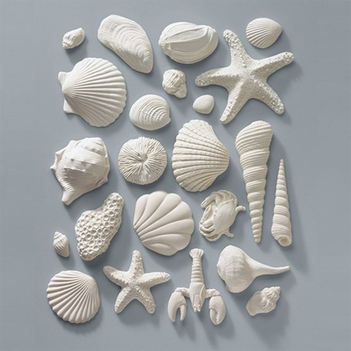 Gumpaste Sea Shells - Pack of 23