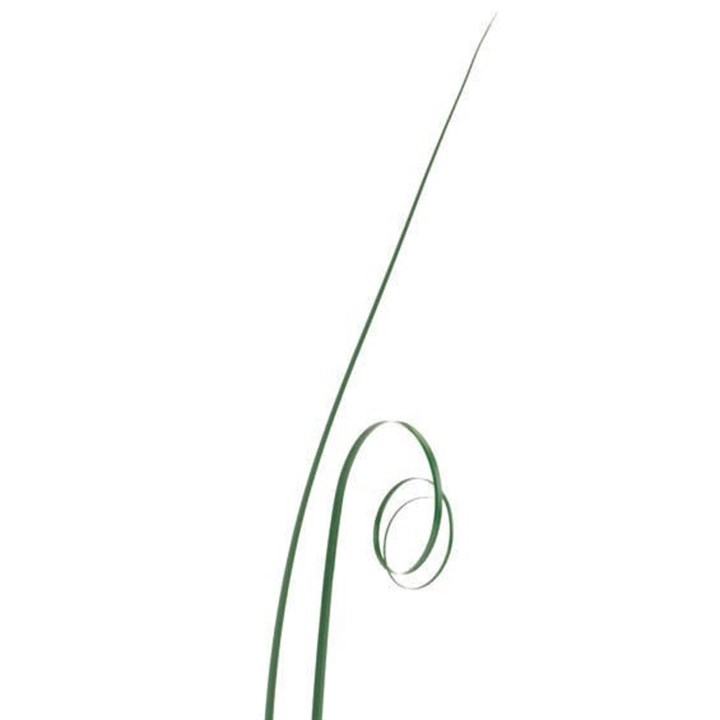 LEAF-BEAR GRASS-GREEN-425mm-50 PCE