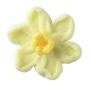 Sugar Daffodils