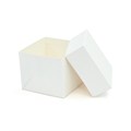 White Cake Box & Lid - 8 x 8 x 5in - single