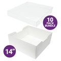 Culpitt Box with Transparent Lid - 14"