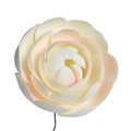Culpitt Large Gumpaste Ranunculus Flowers - Box of 20