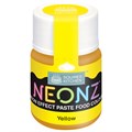 NEONZ Paste Food Colour Yellow 20g