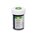 Wilton Icing Colour - Kelly Green - 28g