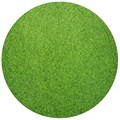 10" Grass Effect Masonite Cake Board