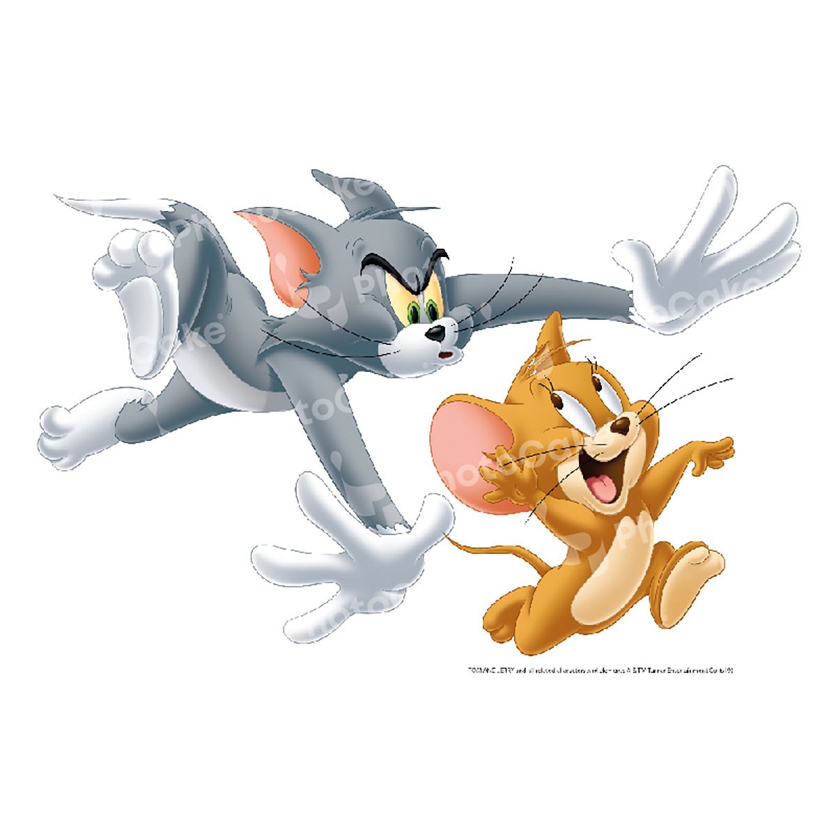Edible Image® Looney Tunes™ ‘Tom and Jerry’ Craft