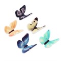 SugarSoft® Butterflies - Pack of 20 - E171 Free Alternative Image